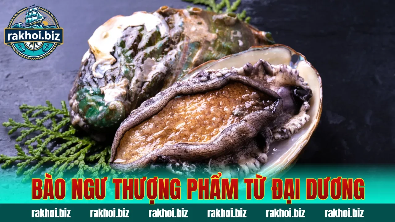 Bào ngư thượng phẩm từ đại dương