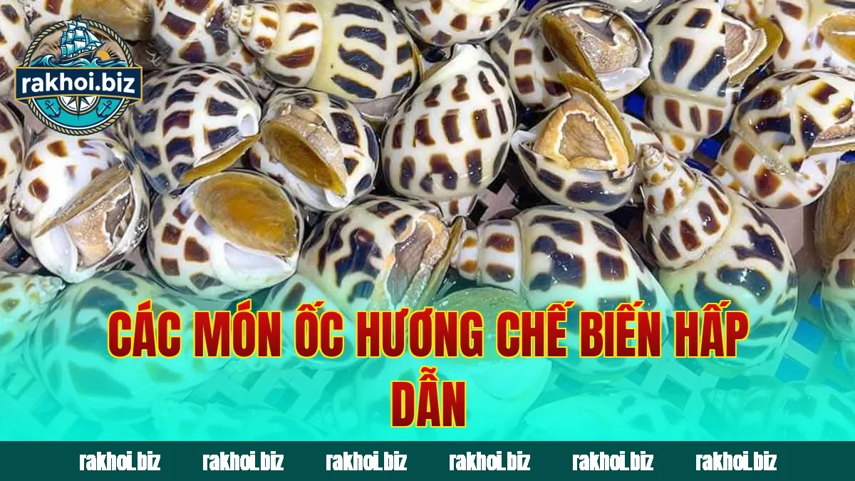 Các món ốc hương chế biến hấp dẫn