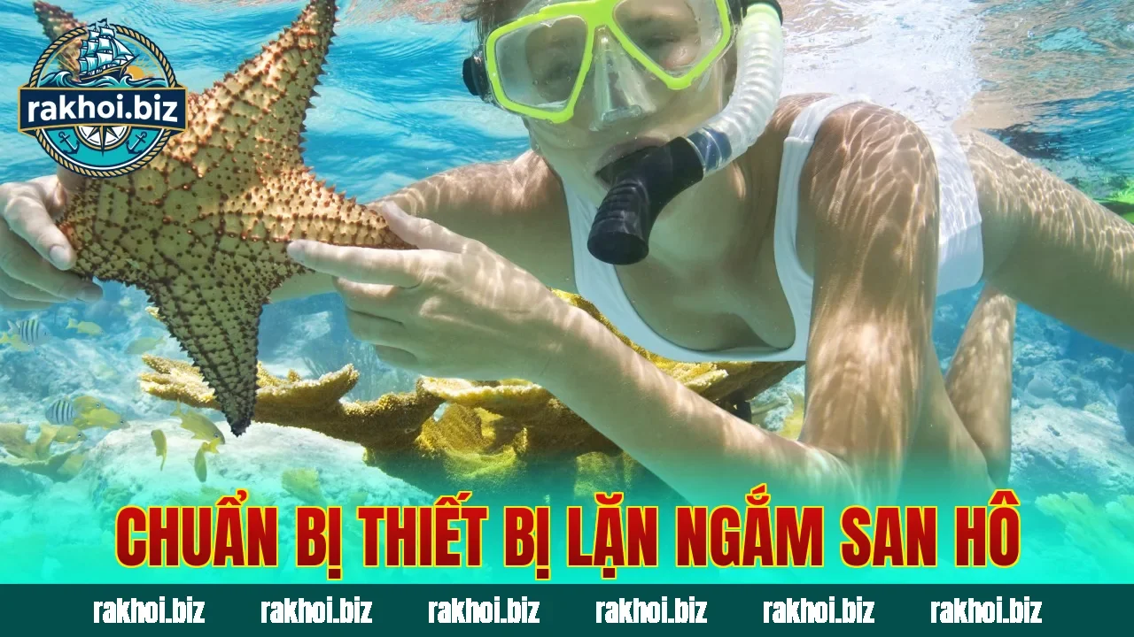 Chuẩn bị thiết bị lặn ngắm san hô