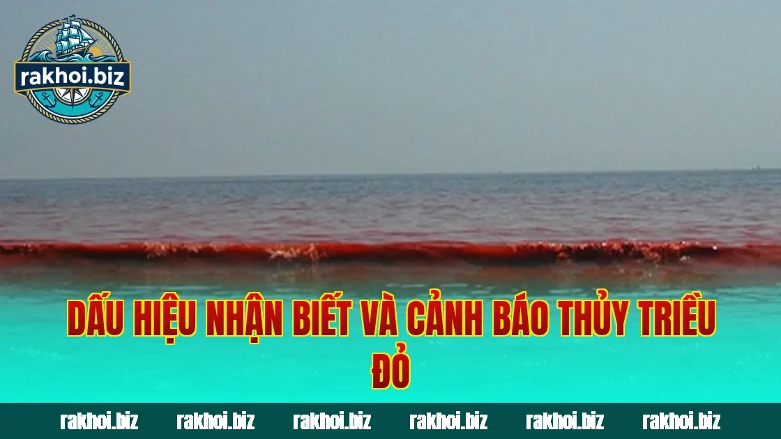 Dấu hiệu nhận biết và cảnh báo thủy triều đỏ