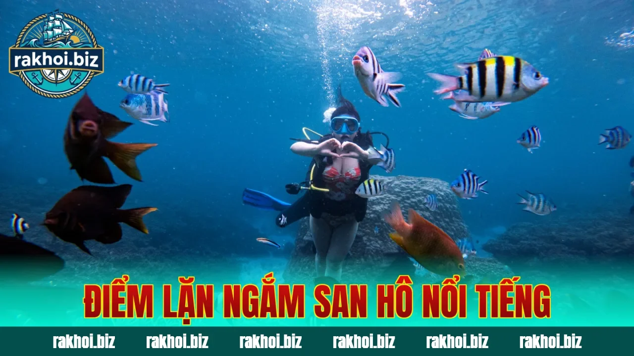 Điểm lặn ngắm san hô nổi tiếng