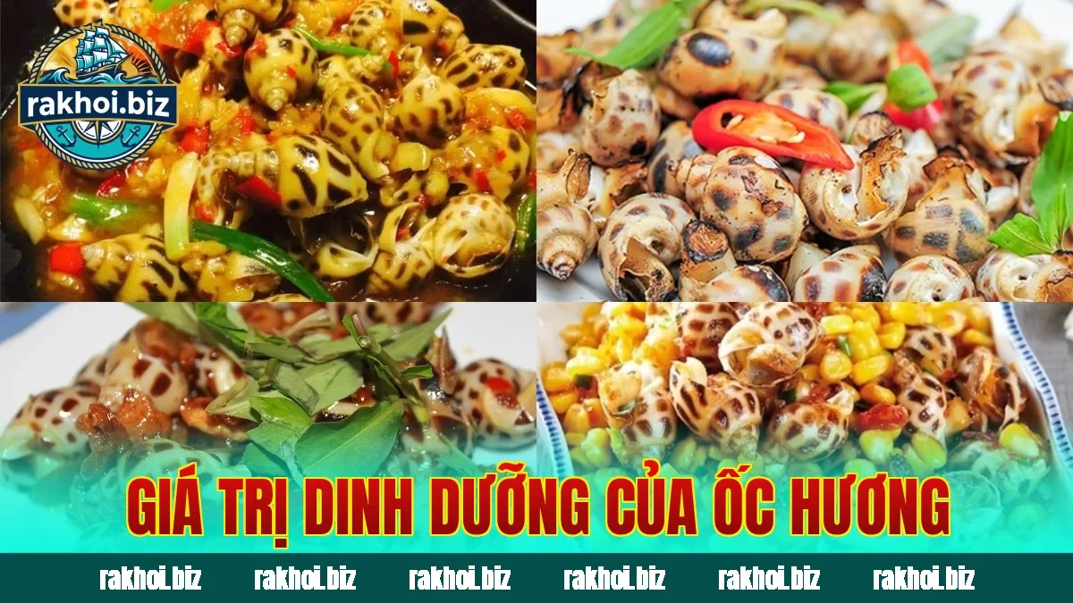 Giá trị dinh dưỡng của ốc hương
