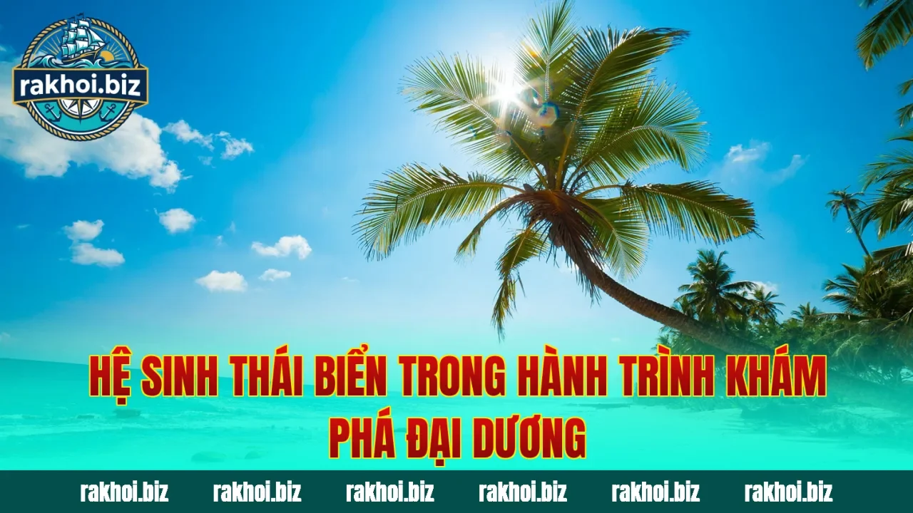 Hệ sinh thái biển trong hành trình khám phá đại dương