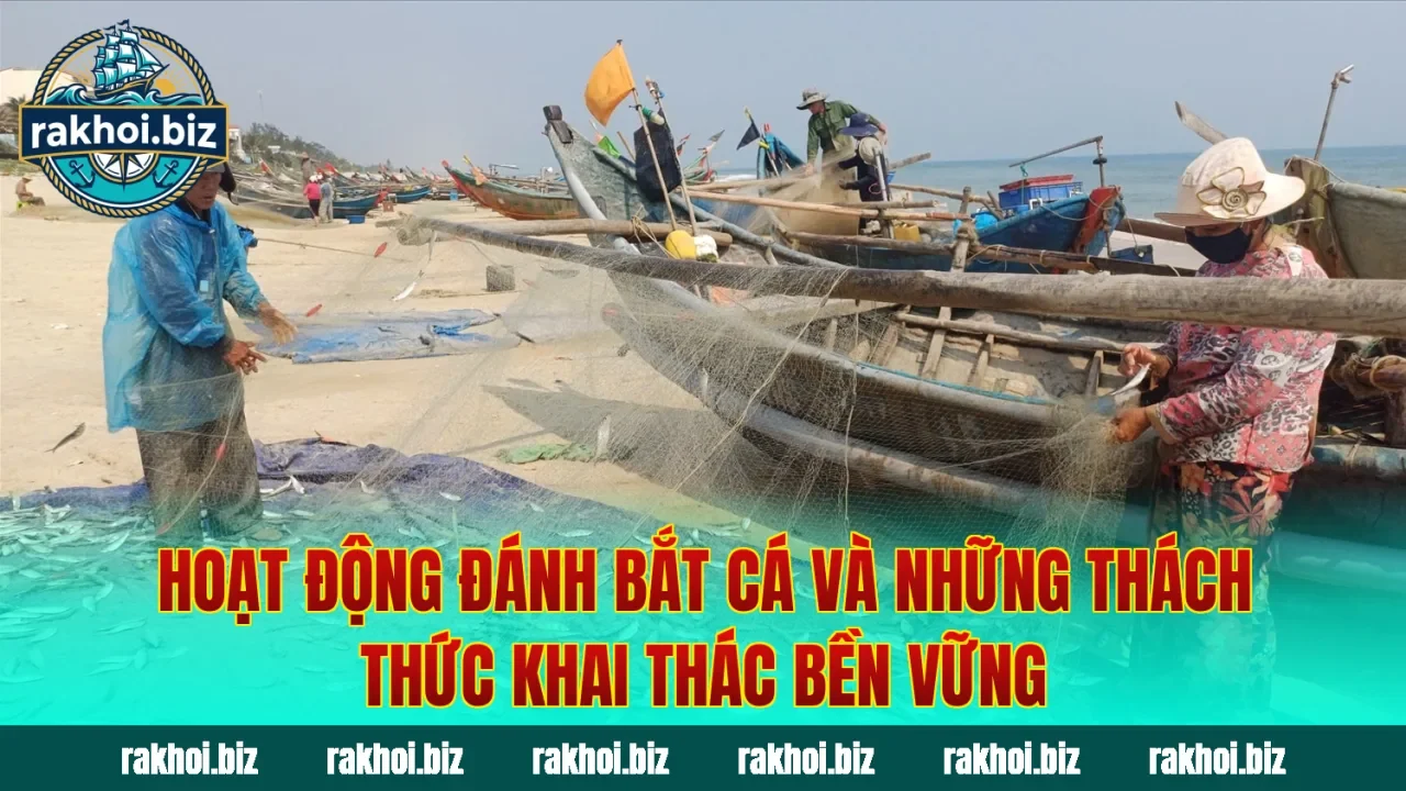 Hoạt động đánh bắt cá và những thách thức khai thác bền vững