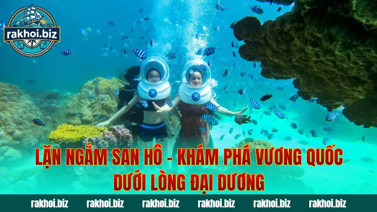 Lặn Ngắm San Hô – Khám Phá Vương Quốc Dưới Lòng Đại Dương