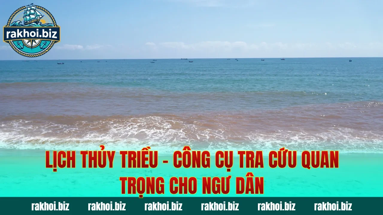 Lịch Thủy Triều – Công Cụ Tra Cứu Quan Trọng Cho Ngư Dân