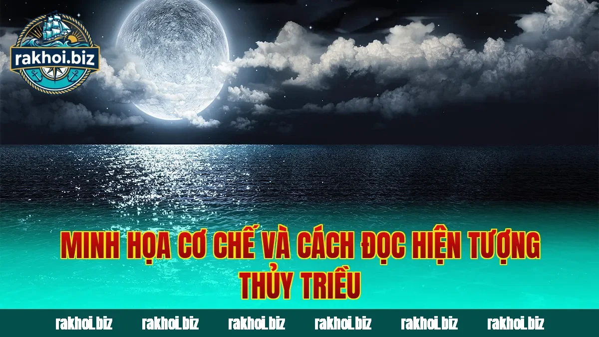 Minh họa cơ chế và cách đọc hiện tượng thủy triều
