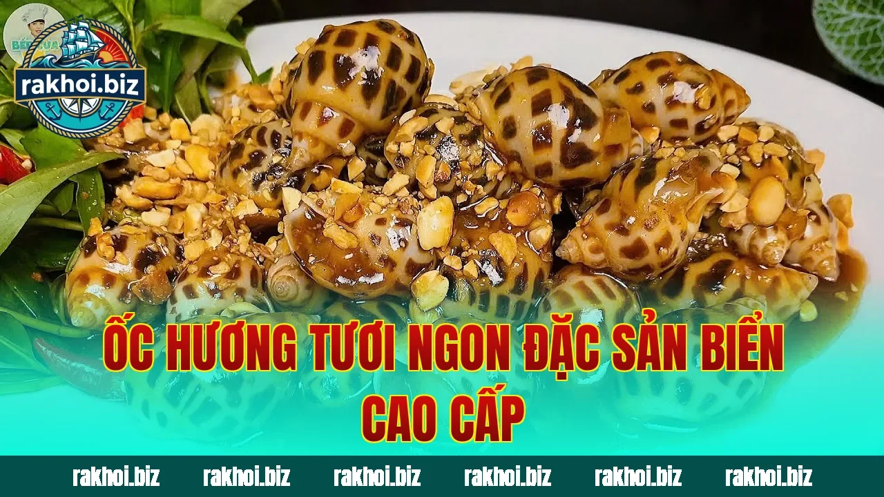 Ốc hương tươi ngon đặc sản biển cao cấp