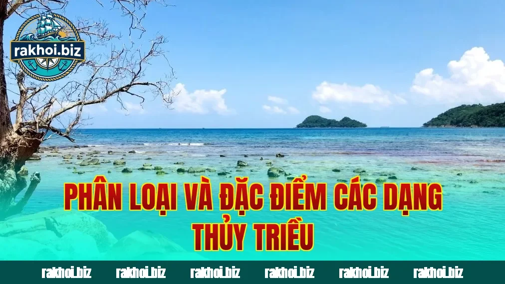 Phân loại và đặc điểm các dạng thủy triều