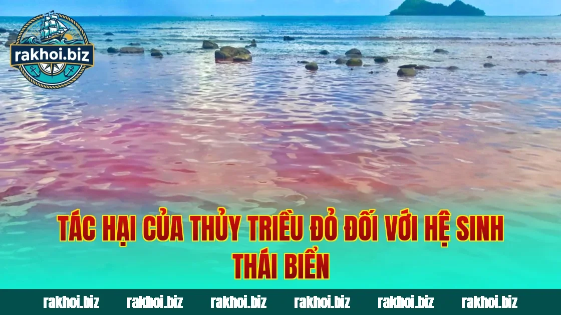 Tác hại của thủy triều đỏ đối với hệ sinh thái biển