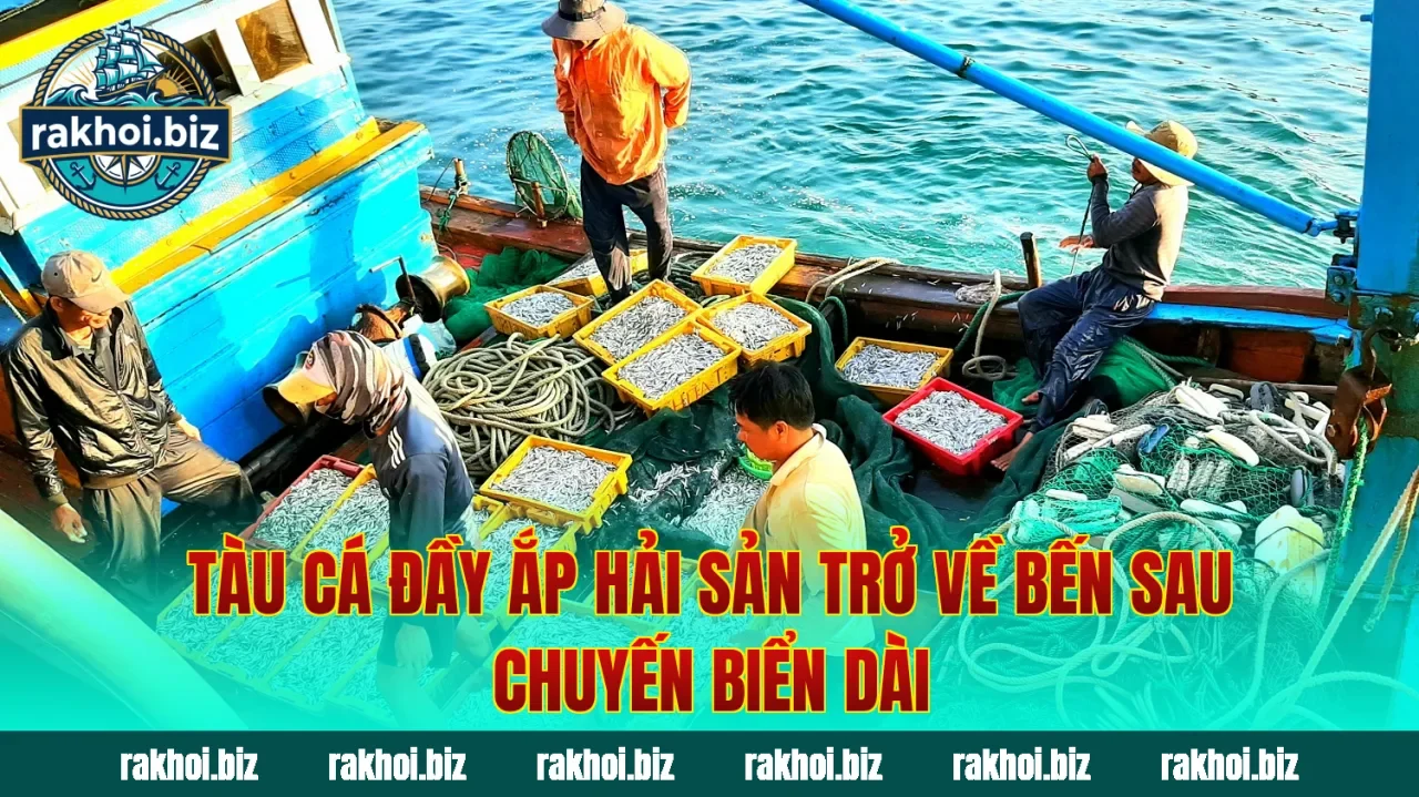 Tàu cá đầy ắp hải sản trở về bến sau chuyến biển dài