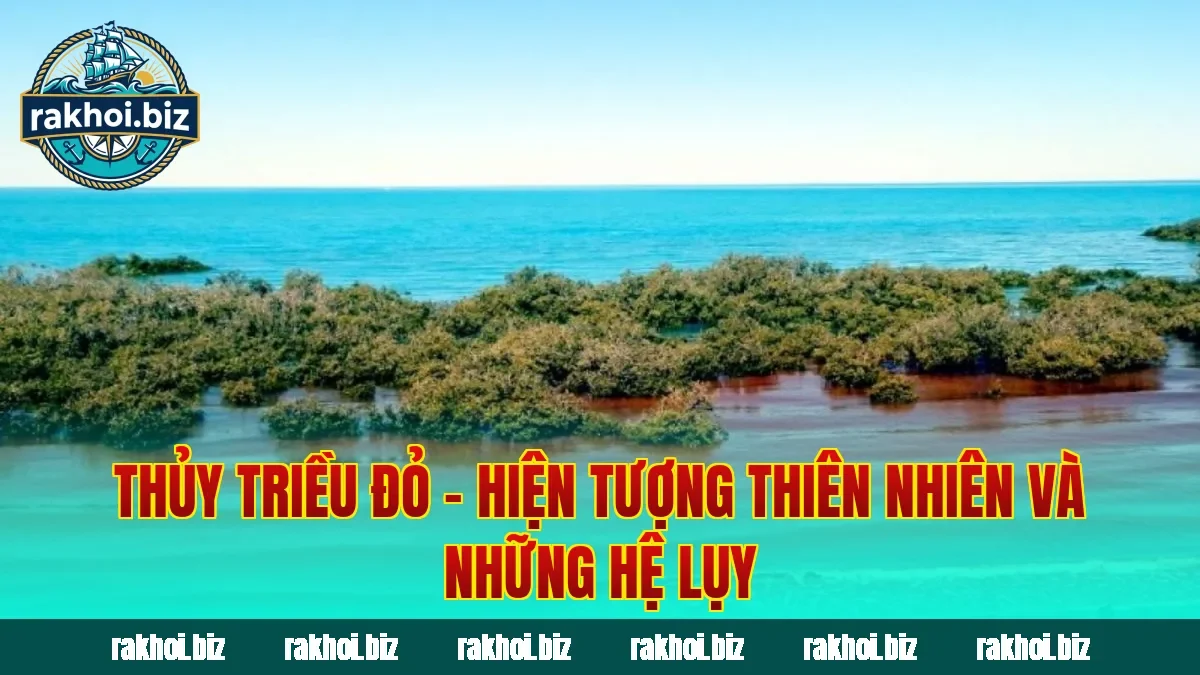 Thủy Triều Đỏ – Hiện Tượng Thiên Nhiên Và Những Hệ Lụy