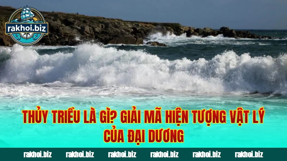 Thủy Triều Là Gì? Giải Mã Hiện Tượng Vật Lý Của Đại Dương