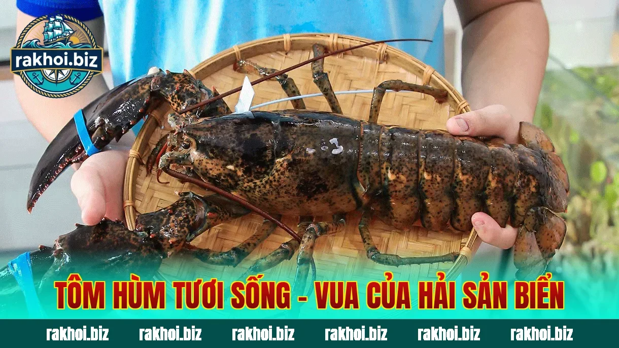 Tôm hùm tươi sống – vua của hải sản biển