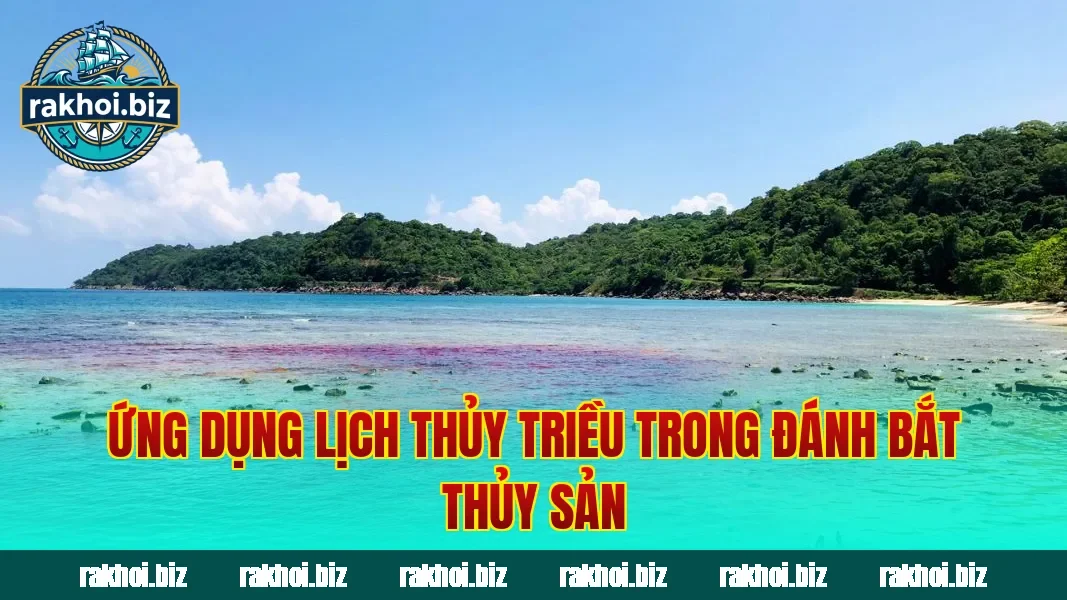 Ứng dụng lịch thủy triều trong đánh bắt thủy sản