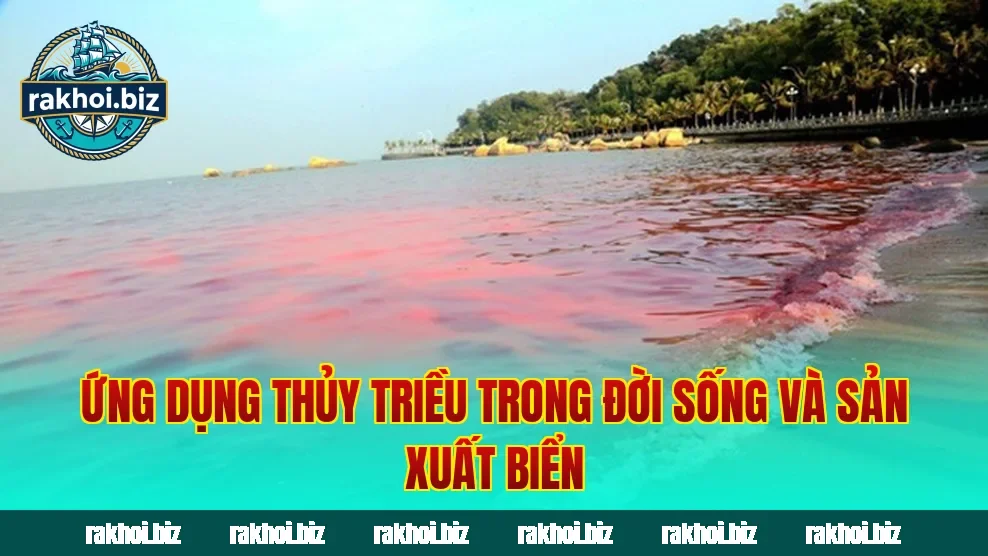 Ứng dụng thủy triều trong đời sống và sản xuất biển