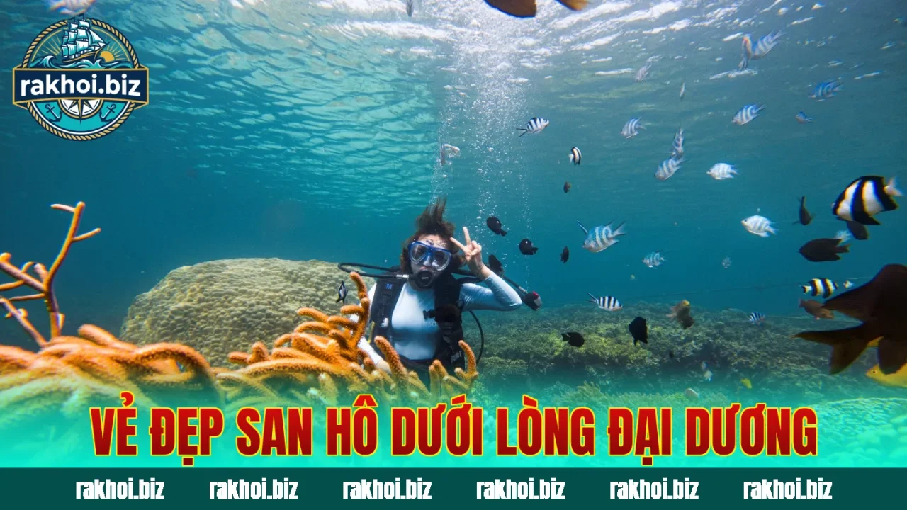 Vẻ đẹp san hô dưới lòng đại dương