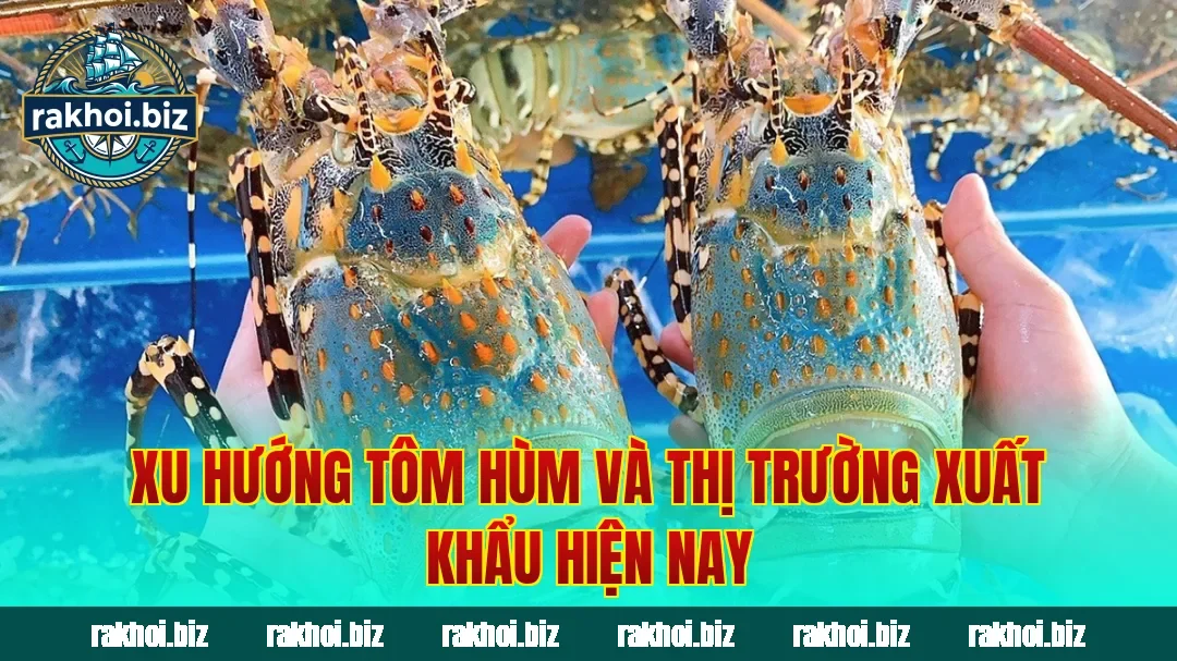 Xu hướng tôm hùm và thị trường xuất khẩu hiện nay